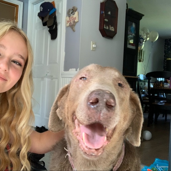 Meet your Posher, Jade - Picture 1 of 1